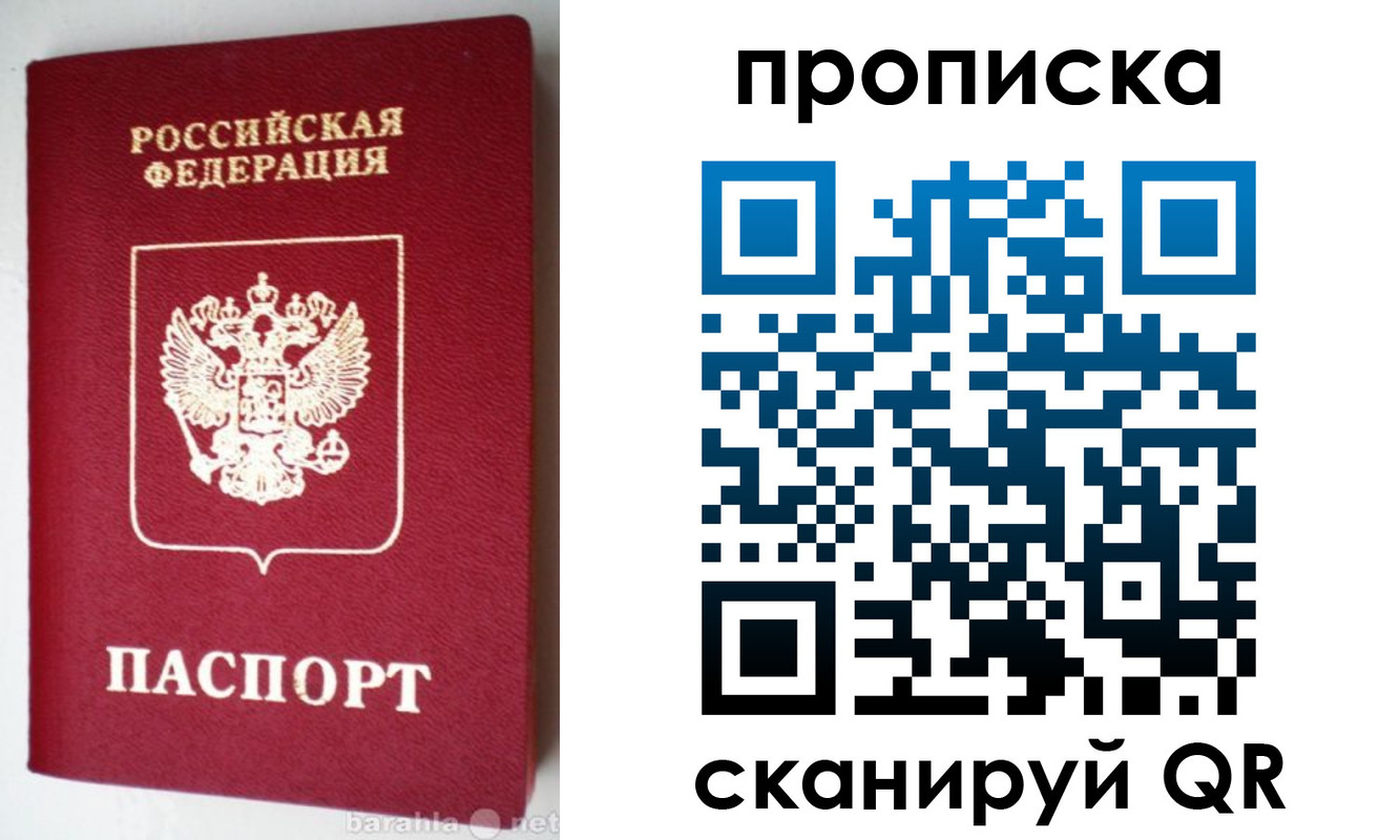 прописка поиск в Александровске